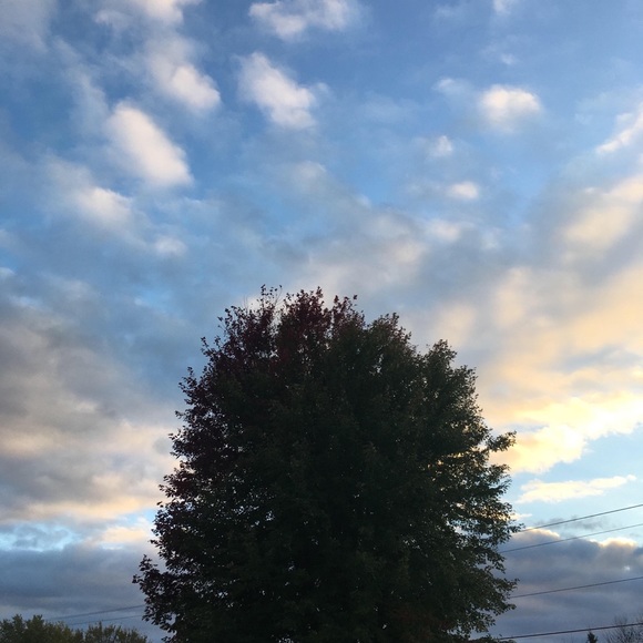 Meet your Posher, Amanda - Picture 1 of 1